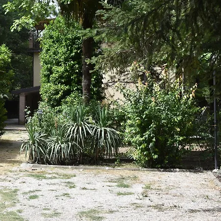 Cospea B&B-3